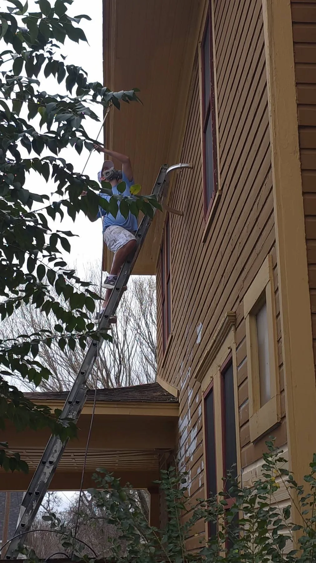 Upper siding and trim being painted from a ladder